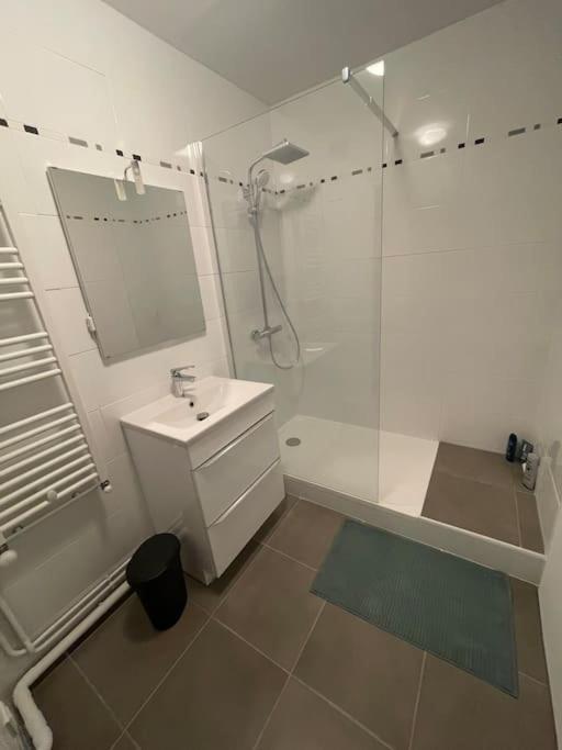 Apartment Hyper Centre - Agen